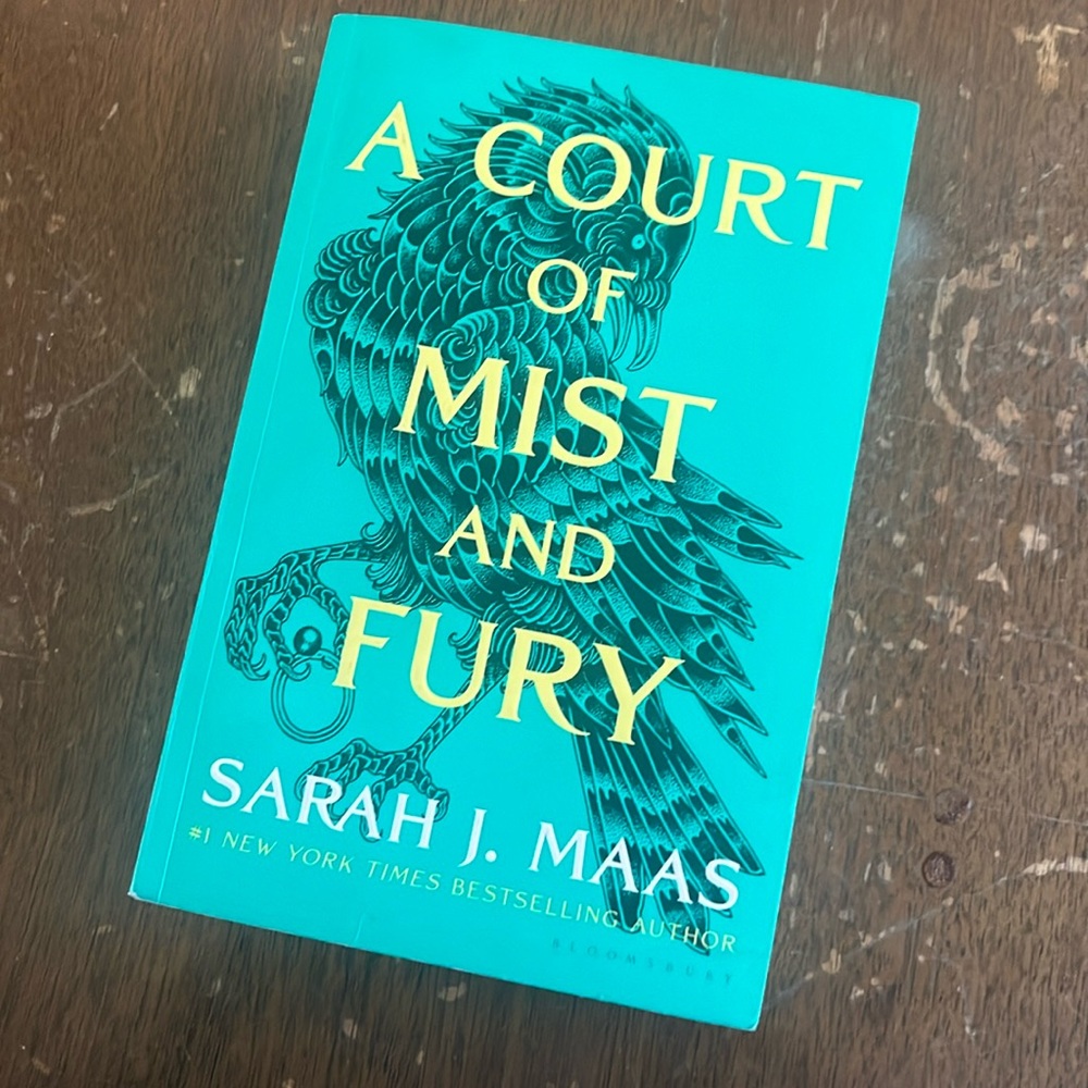paperback A COURT OF MIST AND FURY — good condition!